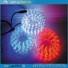LED de luz de neón decorativo para la vida cotidiana